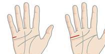 What is Palmistry