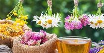 What is Aromatherapy (part-I)